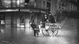 15 Evolution génétique