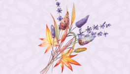 Festina Lente - Chapitre 2