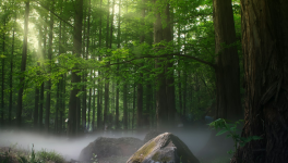 Chapitre 2 Trou d'air  