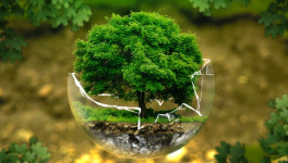 Comment la France réfléchit-elle ses politiques à long terme ?