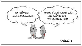 Le rat qui rêvait plus qu'en couleur 