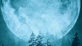 Chapitre 2 - POV Lia