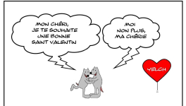 Bonne Saint Valentin à vous non plus! 