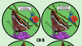 Revue Pantouns N°31– Sélection de l’appel à textes « Noms de papillons »