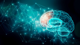 Si l'humour n'avait pas existé, il aurait fallu l'éventer !