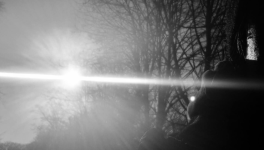 Imbolc, la flamme des Ancêtres