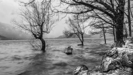 Campanas en la noche