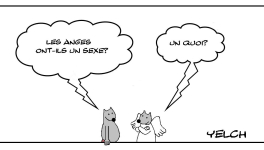 Le sexe des anges