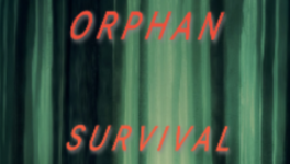 Chapitre 37 - Fracture