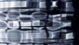 L'cosystémique à l'épreuve de la pandémie.