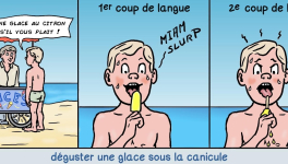 Comment se rafraichir sous la canicule ?