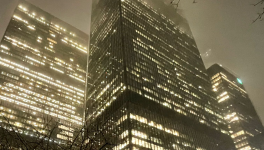 LA TACTIQUE DU ROSEAU