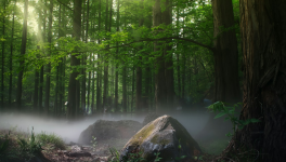 Chapitre 5 Nouvel air