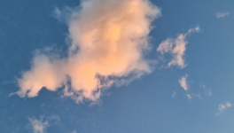 La reine des fées, dame Nature