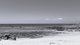 PAUL, une nouvelle de SILLAGES