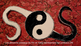 COVID-MAFIA, OR THE NAME OF AN IMPOSTURE.