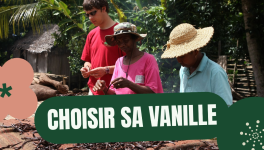 Le Guide Ultime de la Vanille : De l'Orchidée à la Gousse, Tout Comprendre sur la vanille