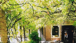 Bene di prima necessità