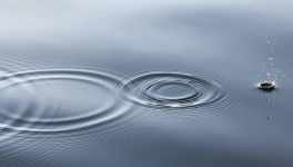 Revenir aux choses essentielles dans sa vie