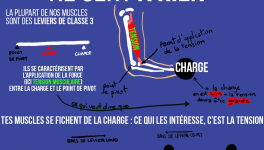 Soulever "trop" lourd ne sert à rien