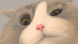 Le chat