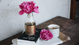 La PAL du mois de Mars 2022