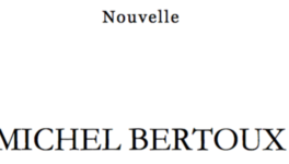 Michel Bertoux (deuxième partie; 2/3)