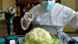 Mini expo photo 7 : Le neurochirurgien fou