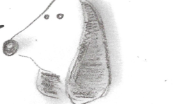 Vous pouvez répéter la question ?