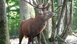 Un instant d'éternité
