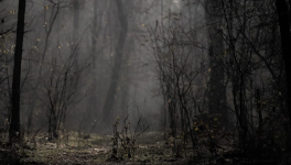 Les Retrouvailles écrit le 5/06/2022