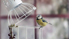 Un instant de liberté