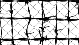 Si je n'avais plus d'humains