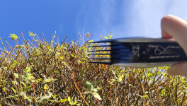 J'ai acheté une tondeuse