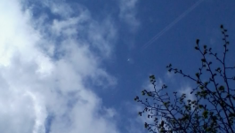 Symbolique du papillon (1) : Envol