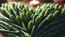 Chapitre 11 : Coeurs salicorne