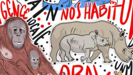 COVID-19 ET APRÈS ?