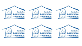 Ils n'attendent que vous ! Fondation assistance aux animaux