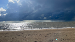 OcéAnalogue mot-valise pour partout t'emporter ...   