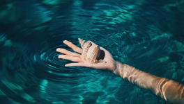 Profondeur de l'océan de Liz Braswell