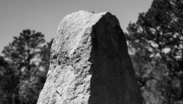 Épisode 10 : La psychologie de la personne handicapée en 2 phrases ?