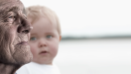 HUMUS, à la manière d’un psaume de poussières et d’aube