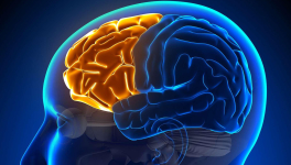 Si l'humour est la première pensée du matin, elle sera la dernière du soir ; juste le temps d'apprécier...