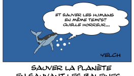 Don't kill the whale