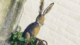 Pré-en-bulles :"C'est mon histoire qu'il faut raconter..."
