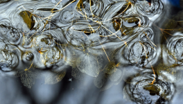 Le chant des possibles