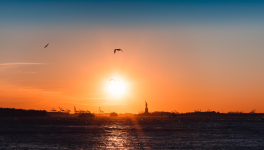 La liberté de conscience