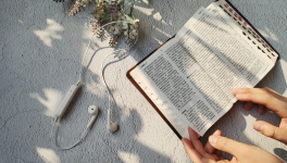 La PAL du mois de Mai 2021