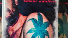 IMPORT-EXPORT Trafic illicite Amour adultère