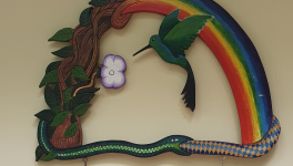 Retraite chamanique et diete de plantes à Takiwasi